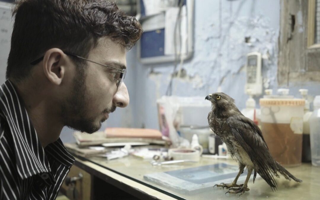 PARTICIPACIÓN DE LA INDIA EN LA 67 EDICIÓN DE SEMINCI (SEMANA INTERNACIONAL DE CINE DE VALLADOLID)